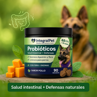 IntegralPet Probióticos – Heces firmes, menos gases y defensas fuertes.