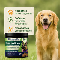 IntegralPet Probióticos – Heces firmes, menos gases y defensas fuertes.